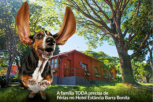 Hotel Estancia Barra Bonita Dogs de pequeno porte sao bem vindos Barra Bonita SP Hotel Estancia Barra Bonita Dogs de pequeno porte sao bem vindos Barra Bonita SP