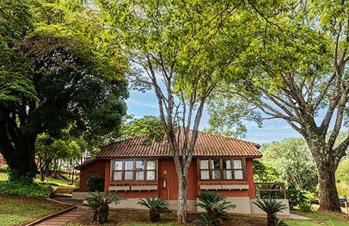 Hotel Estancia Barra Bonita Chale serie Gardenias 7382 1 500x321 1 Hotel Estancia Barra Bonita Chale serie Gardenias 7382 1 500x321 1